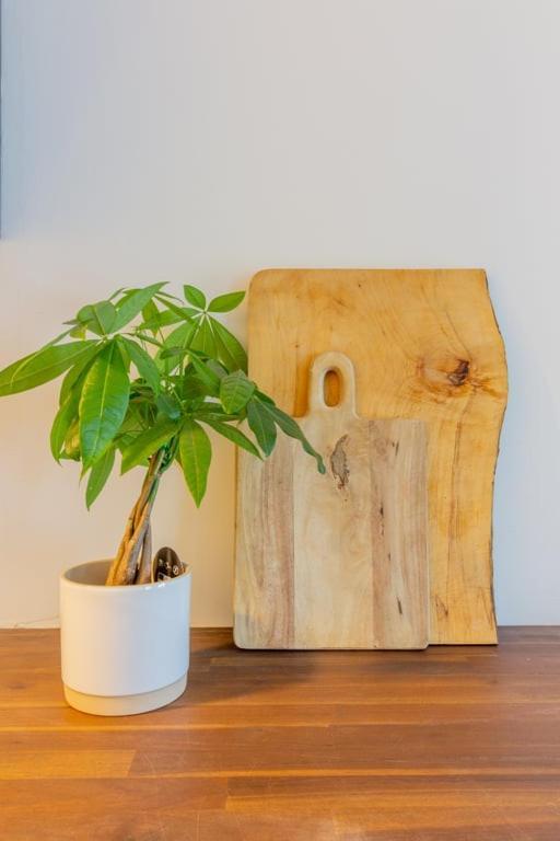 Guestready - Mystic Interiors Near The City Centre Lejlighed Dublin Eksteriør billede